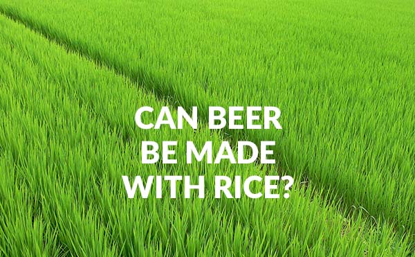 Can Beer Be Made With Rice?