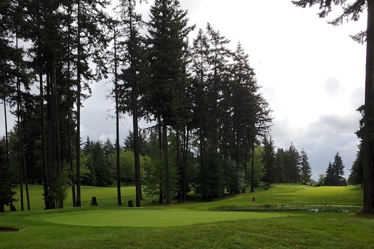 Golf course on a cloudy day