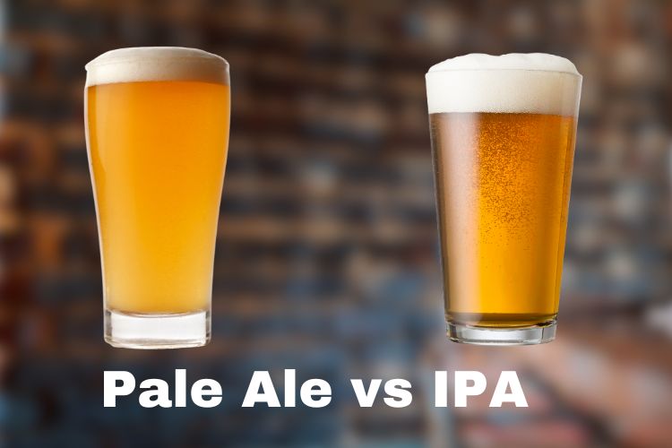 Pale Ale vs IPA What's the Difference? Short Brews