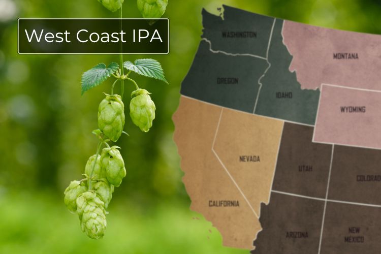 What Is A West Coast IPA? Short Brews