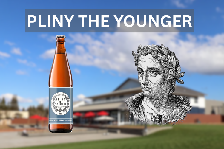 Pliny the Younger beer