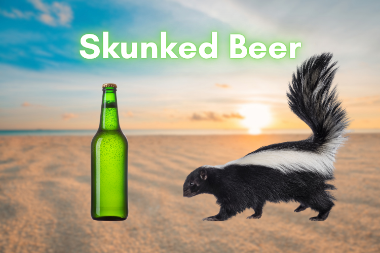 skunk and beer at the beach